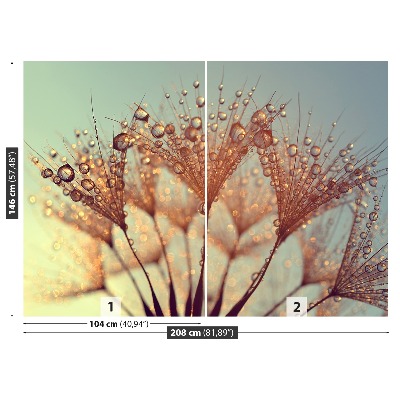 Mural de parede Dente-de-leão Rosa