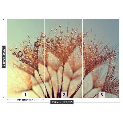 Mural de parede Dente-de-leão Rosa