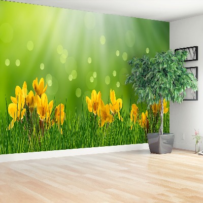 Mural de parede Açafrões da Páscoa