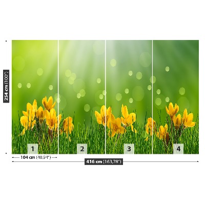 Mural de parede Açafrões da Páscoa