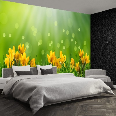 Mural de parede Açafrões da Páscoa