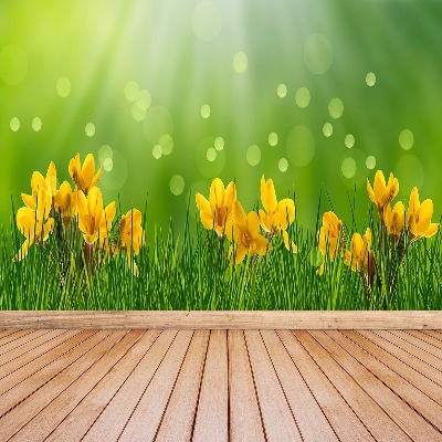 Mural de parede Açafrões da Páscoa