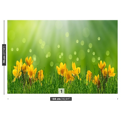 Mural de parede Açafrões da Páscoa