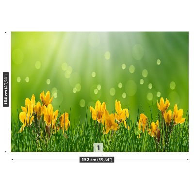 Mural de parede Açafrões da Páscoa