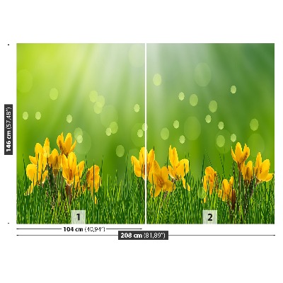 Mural de parede Açafrões da Páscoa