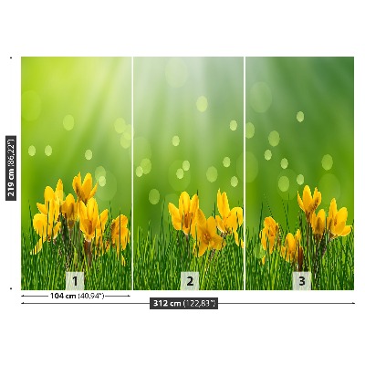 Mural de parede Açafrões da Páscoa