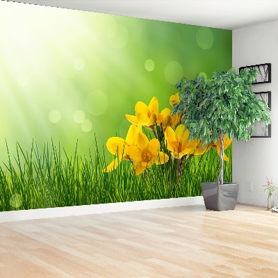 Papel de parede Açafrões Verdes