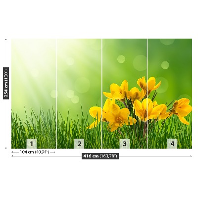 Papel de parede Açafrões Verdes