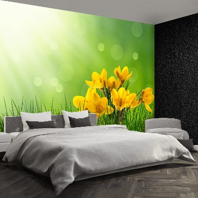 Papel de parede Açafrões Verdes