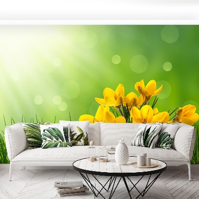 Papel de parede Açafrões Verdes