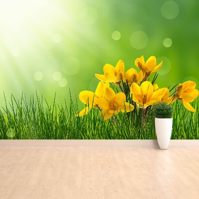 Papel de parede Açafrões Verdes