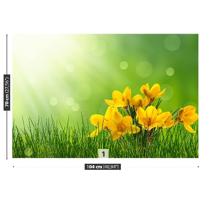 Papel de parede Açafrões Verdes