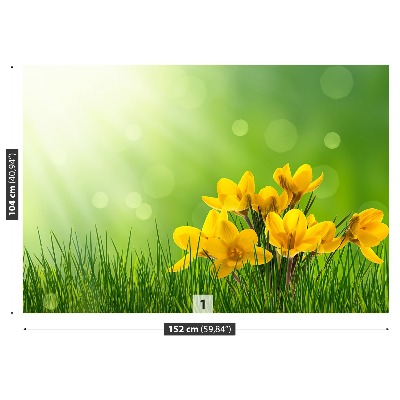 Papel de parede Açafrões Verdes