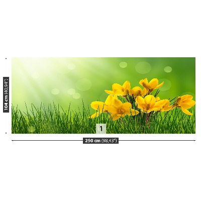 Papel de parede Açafrões Verdes