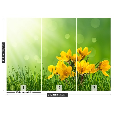 Papel de parede Açafrões Verdes