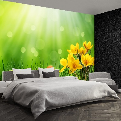 Mural de parede Açafrões da Páscoa