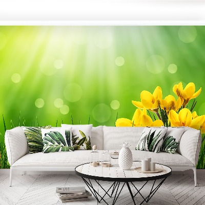 Mural de parede Açafrões da Páscoa