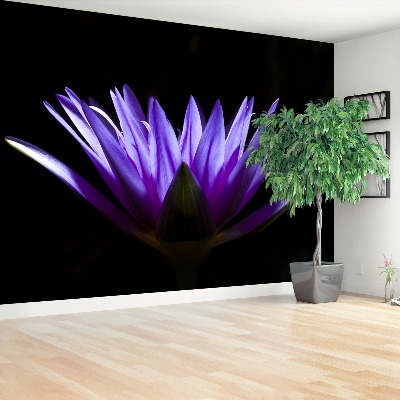 Papel de parede Lótus Roxo