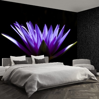 Papel de parede Lótus Roxo