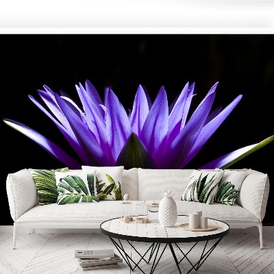Papel de parede Lótus Roxo