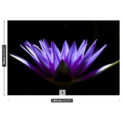 Papel de parede Lótus Roxo