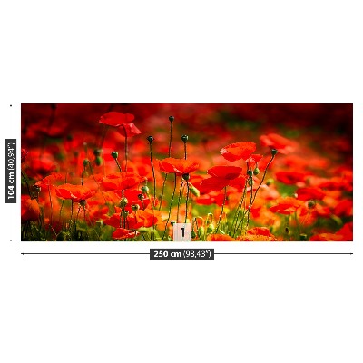 Mural de parede Prado de papoulas