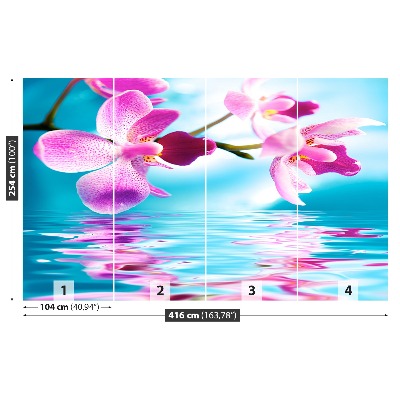 Papel de parede Água de Orquídea