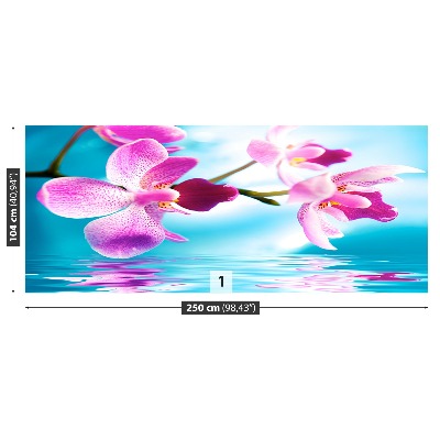 Papel de parede Água de Orquídea