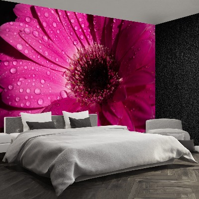 Mural de parede Gérbera Roxa