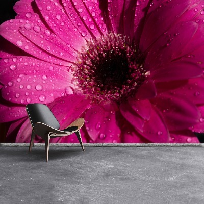 Mural de parede Gérbera Roxa