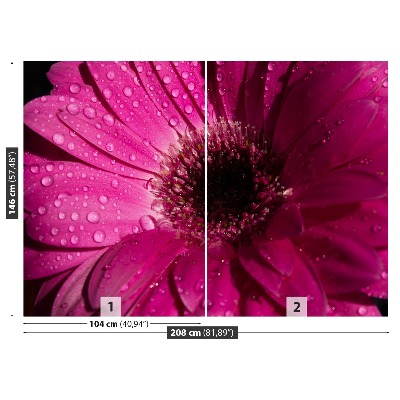 Mural de parede Gérbera Roxa