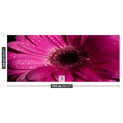 Mural de parede Gérbera Roxa