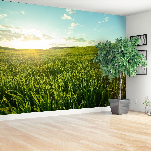 Papel de parede Prado verde