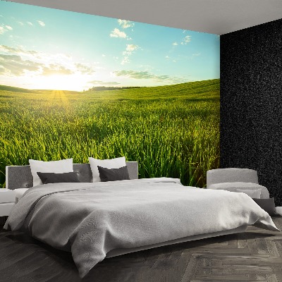 Papel de parede Prado verde