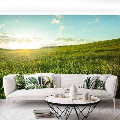 Papel de parede Prado verde