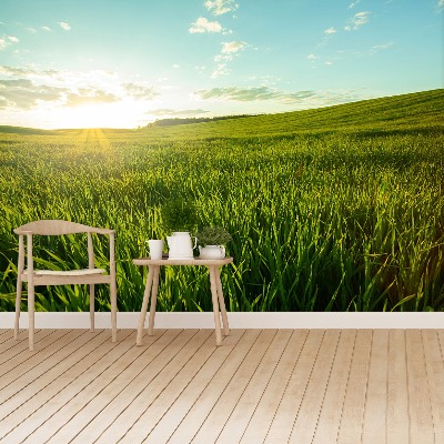 Papel de parede Prado verde