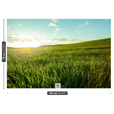 Papel de parede Prado verde