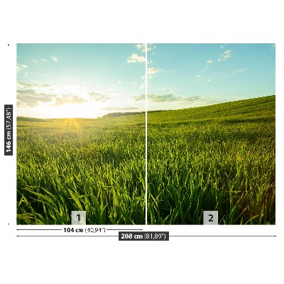 Papel de parede Prado verde