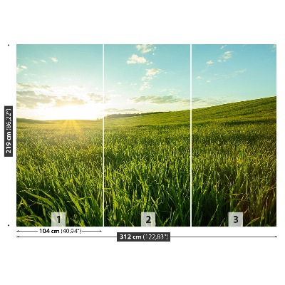 Papel de parede Prado verde