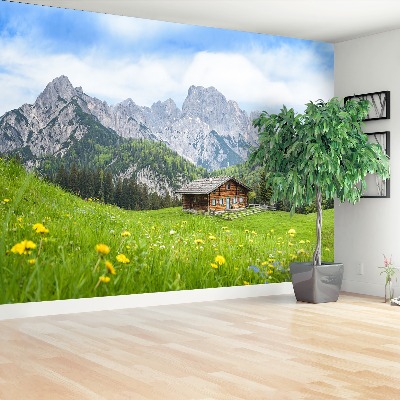 Mural de parede Estado de Salzburgo