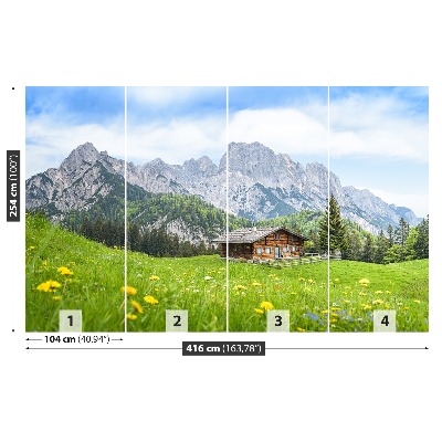 Mural de parede Estado de Salzburgo