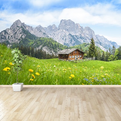 Mural de parede Estado de Salzburgo