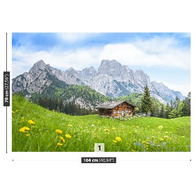 Mural de parede Estado de Salzburgo