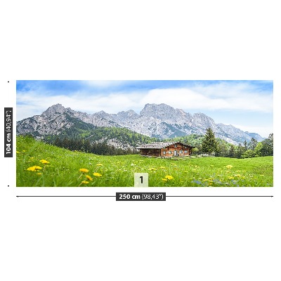 Mural de parede Estado de Salzburgo