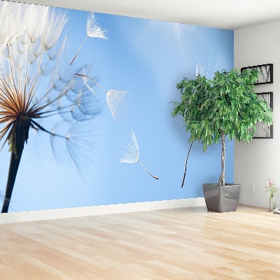 Papel de parede Dente-de-leão azul
