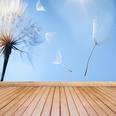 Papel de parede Dente-de-leão azul