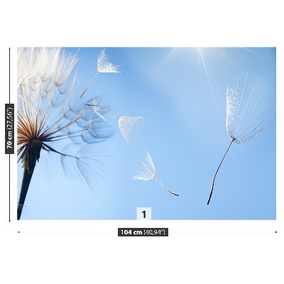 Papel de parede Dente-de-leão azul