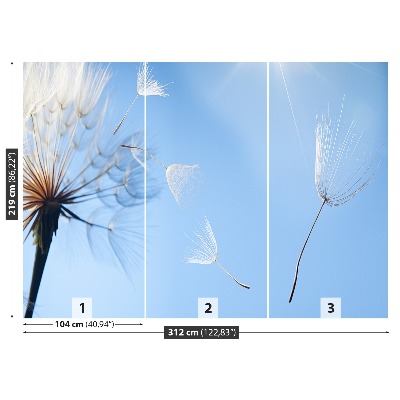 Papel de parede Dente-de-leão azul