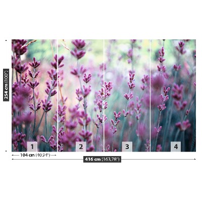 Mural de parede Verde Lavanda