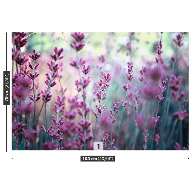 Mural de parede Verde Lavanda